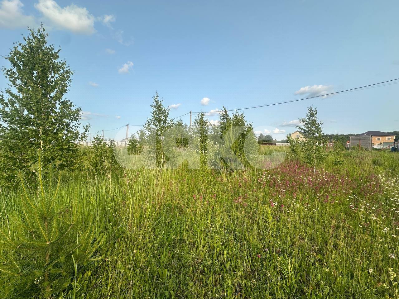 Фото №7: Земельный участок под ИЖС 11.6 сот. - Петровское