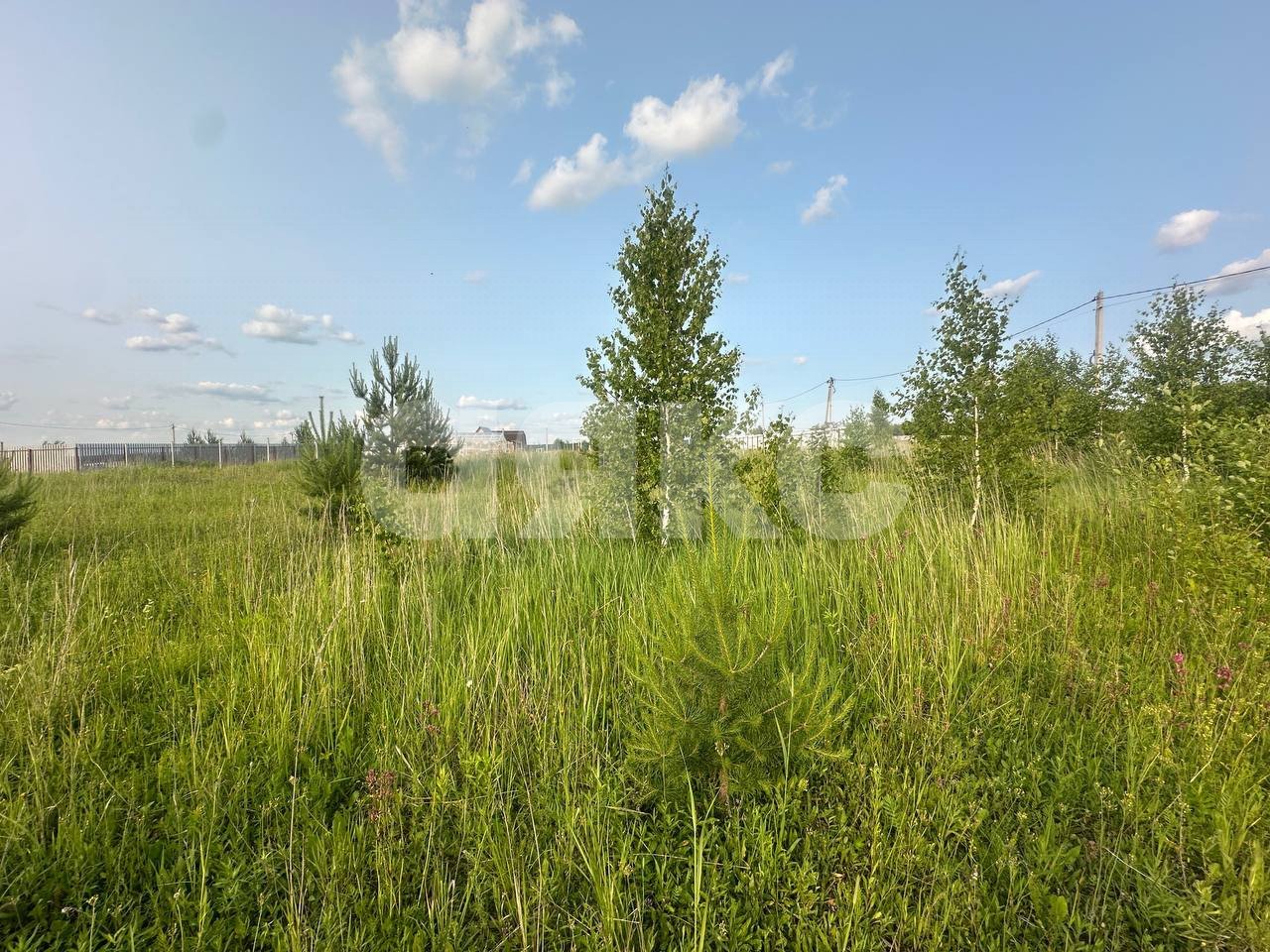 Фото №17: Земельный участок под ИЖС 11.6 сот. - Петровское