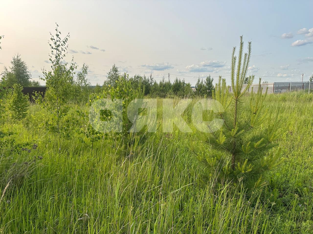 Фото №16: Земельный участок под ИЖС 11.6 сот. - Петровское