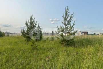 Фото №2: Земельный участок под ИЖС - Петровское, 