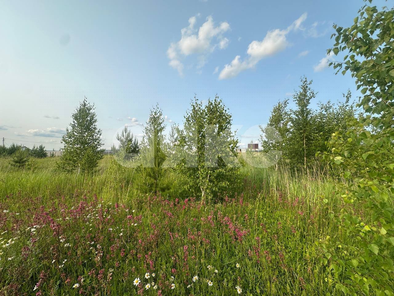 Фото №15: Земельный участок под ИЖС 11.6 сот. - Петровское