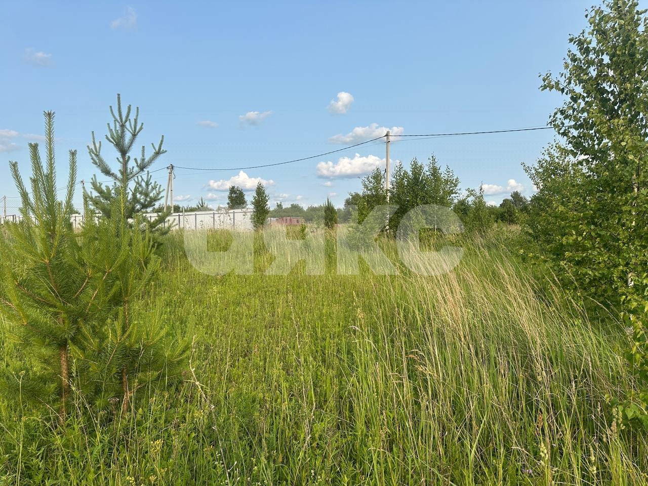 Фото №26: Земельный участок под ИЖС 11.6 сот. - Петровское