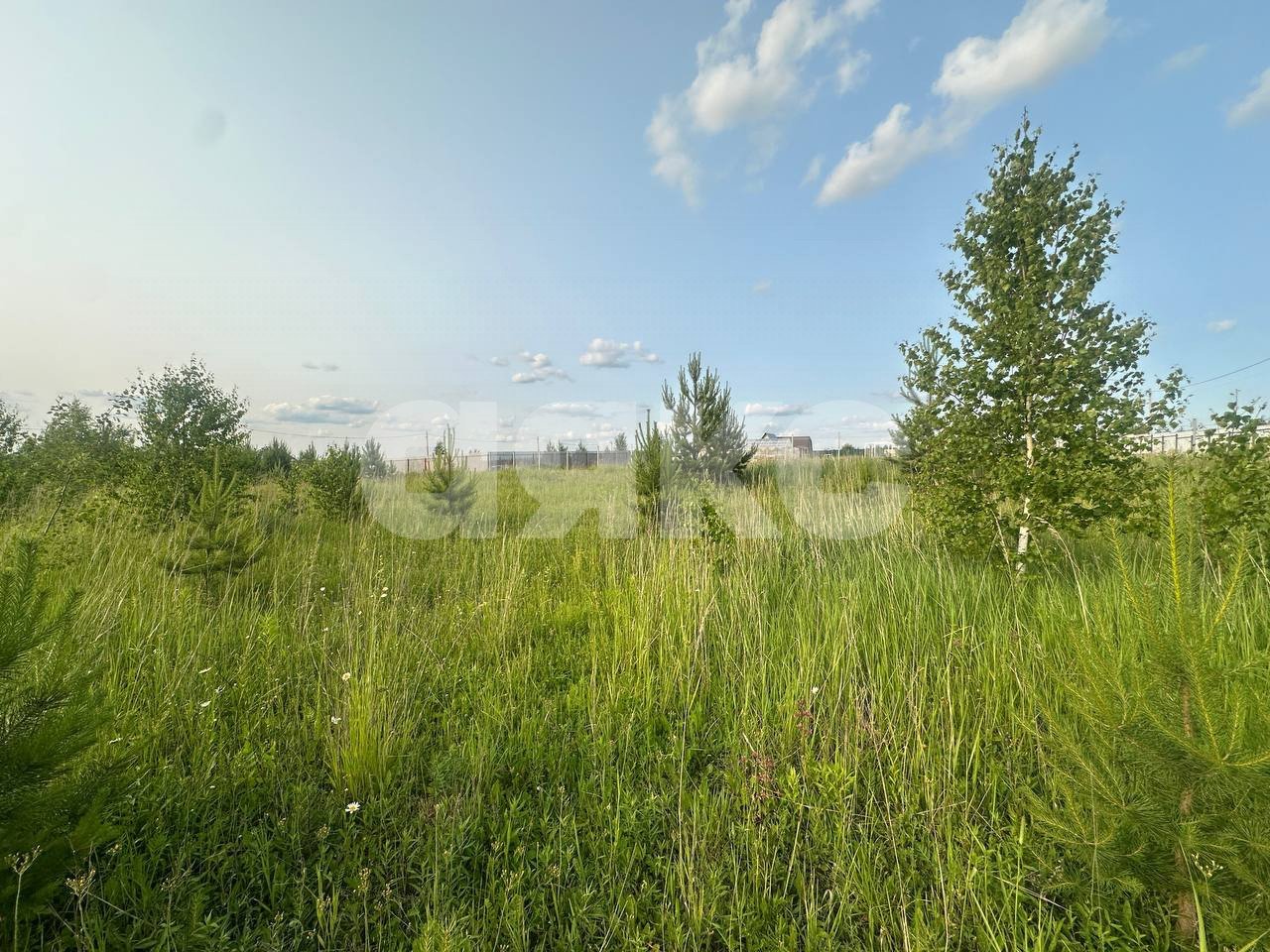 Фото №25: Земельный участок под ИЖС 11.6 сот. - Петровское