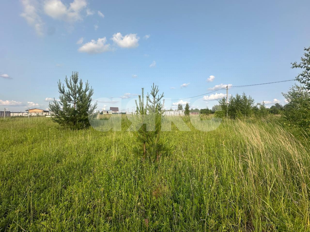 Фото №10: Земельный участок под ИЖС 11.6 сот. - Петровское