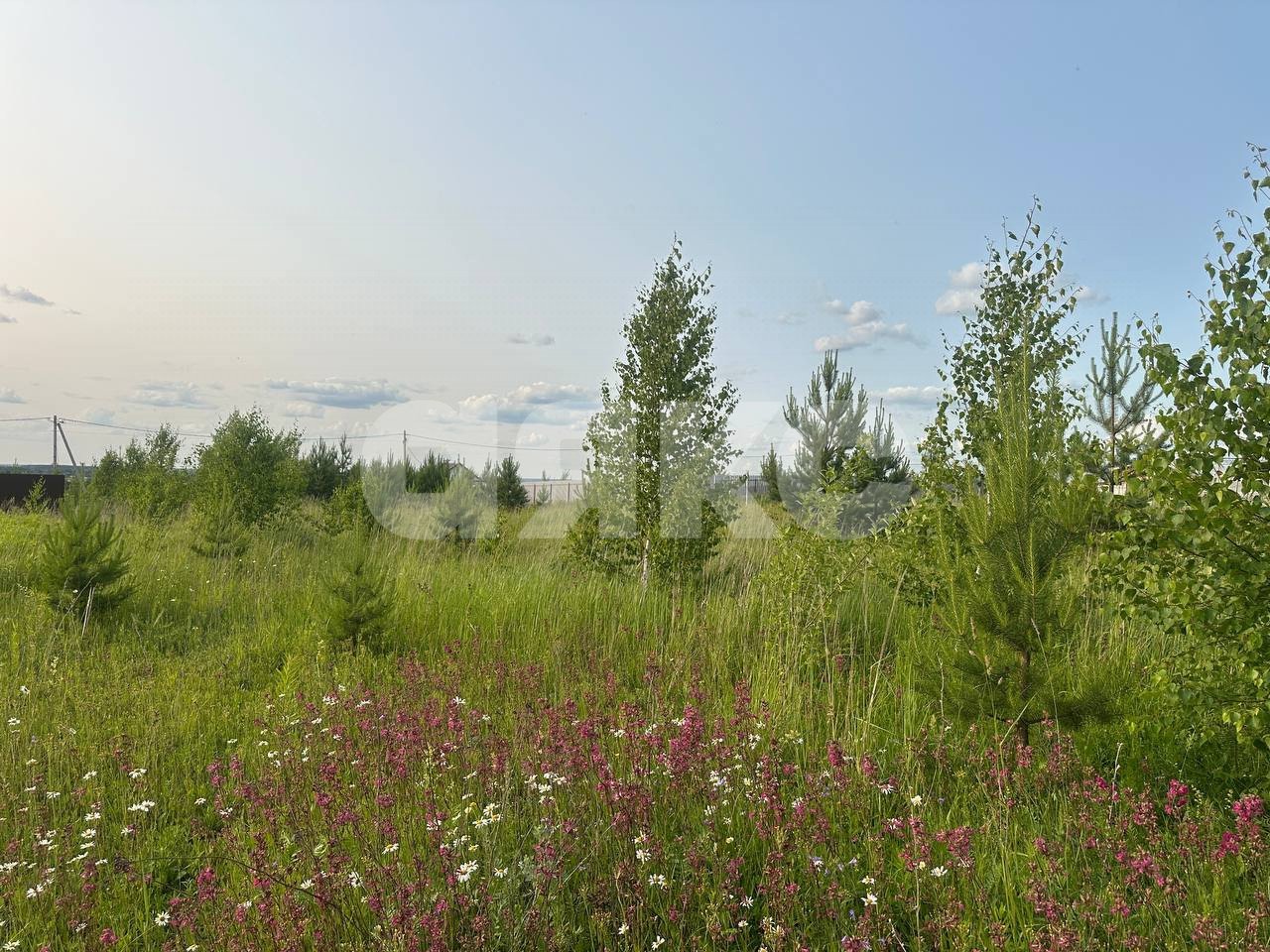 Фото №14: Земельный участок под ИЖС 11.6 сот. - Петровское