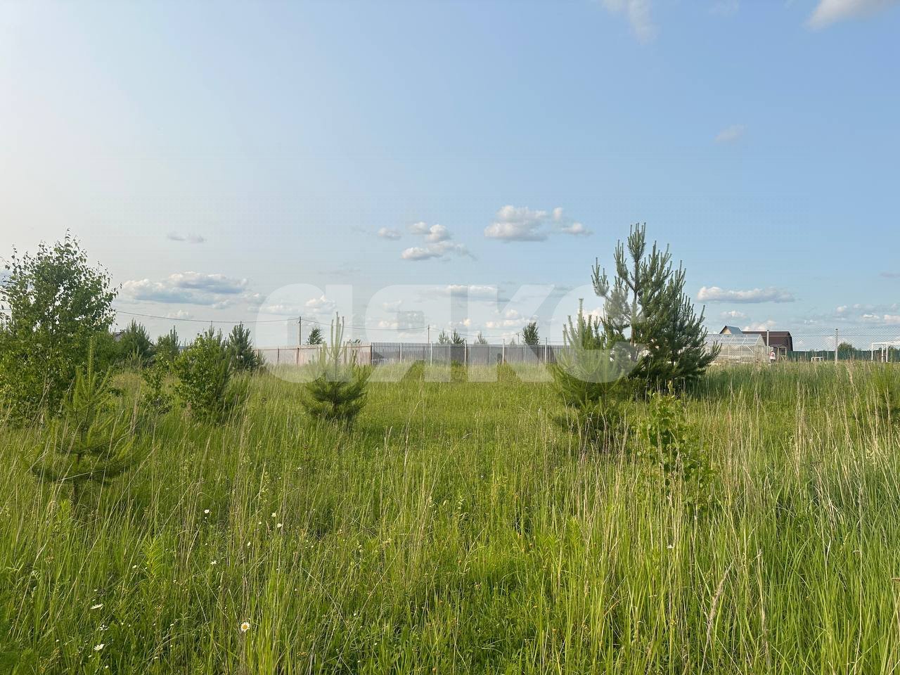 Фото №20: Земельный участок под ИЖС 11.6 сот. - Петровское