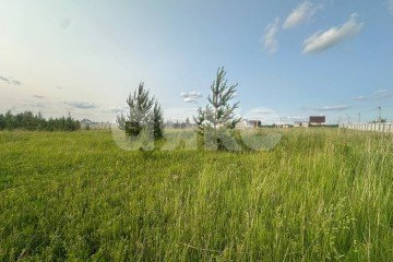 Фото №1: Земельный участок под ИЖС - Петровское, 