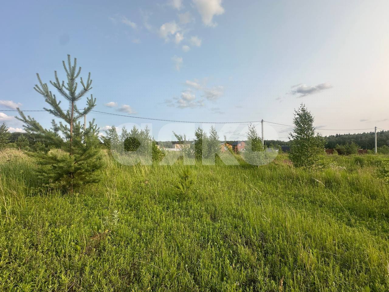 Фото №12: Земельный участок под ИЖС 11.6 сот. - Петровское