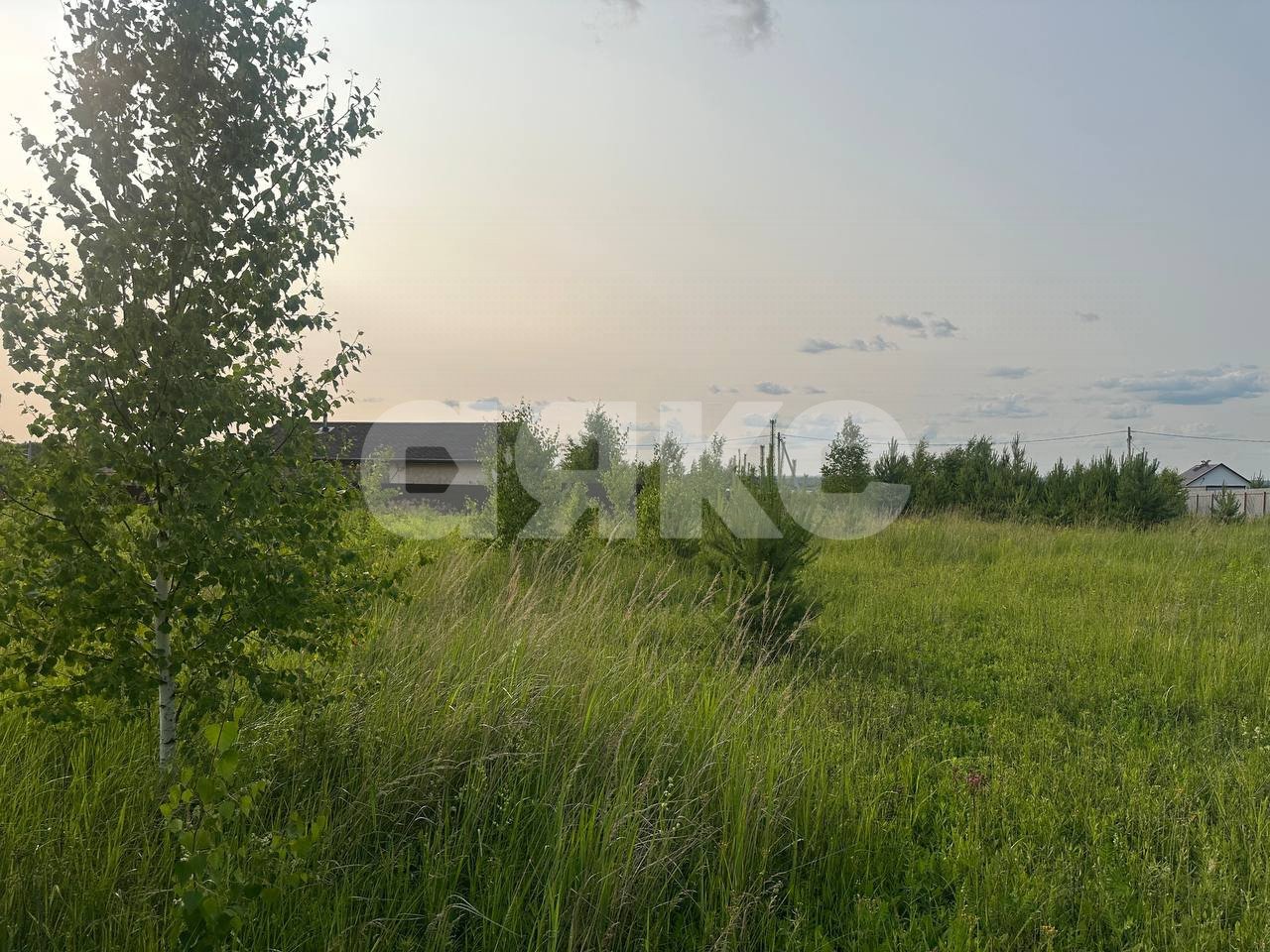 Фото №22: Земельный участок под ИЖС 11.6 сот. - Петровское