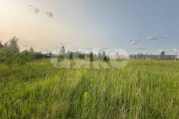 Фото №4: Земельный участок под ИЖС - Петровское, 