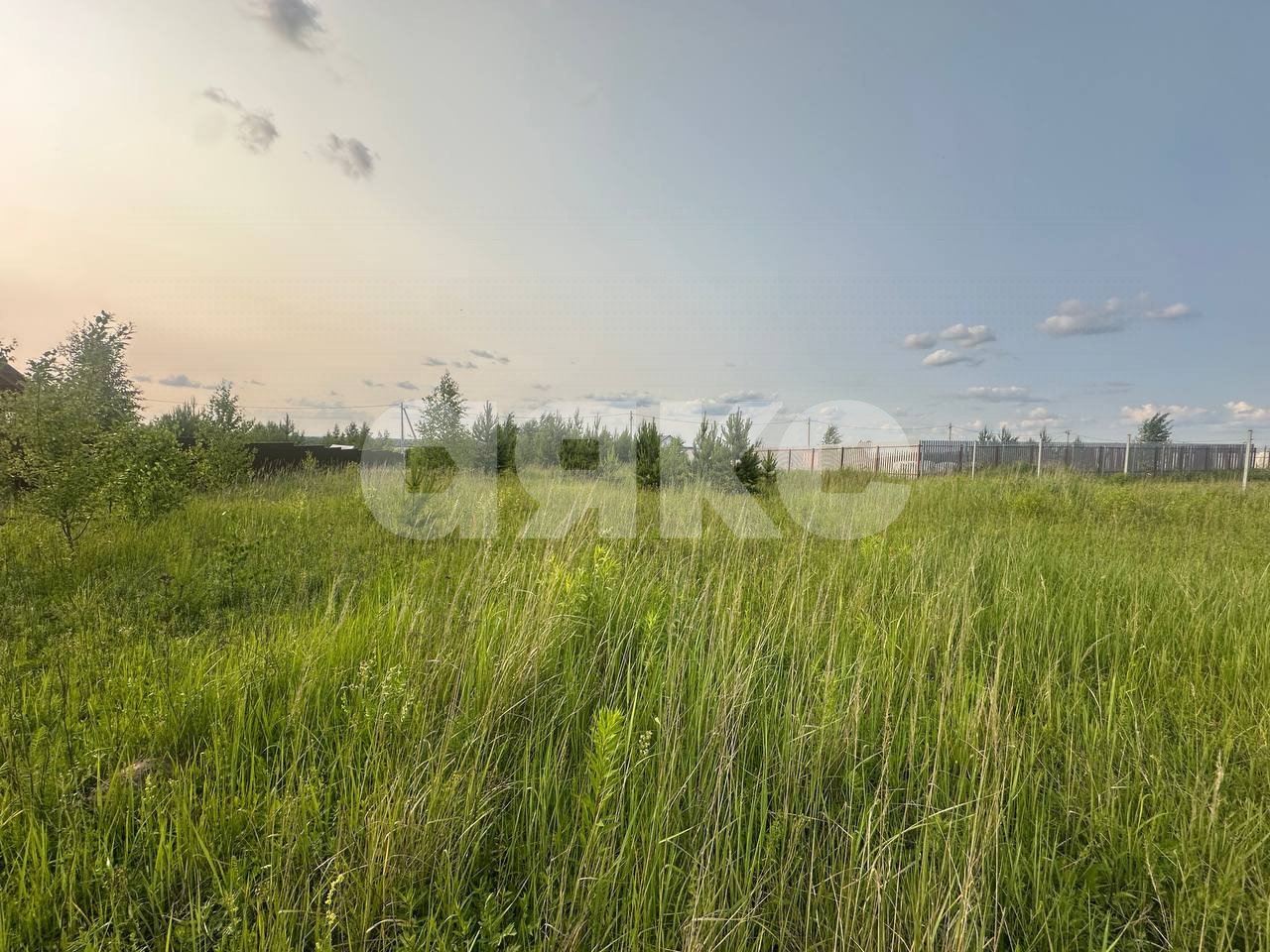 Фото №4: Земельный участок под ИЖС 11.6 сот. - Петровское