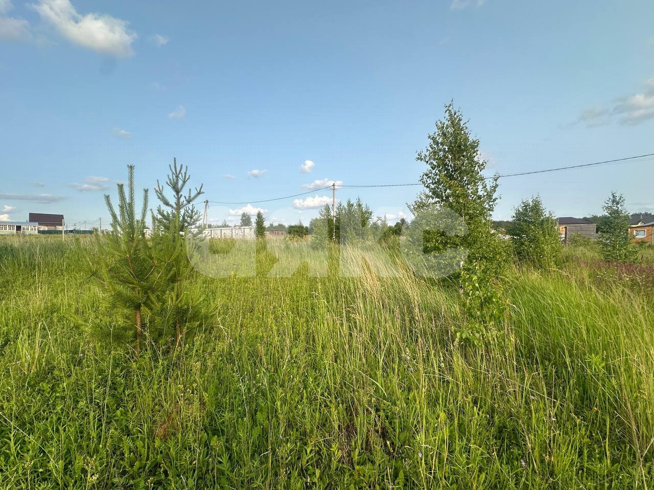 Фото №23: Земельный участок под ИЖС 11.6 сот. - Петровское