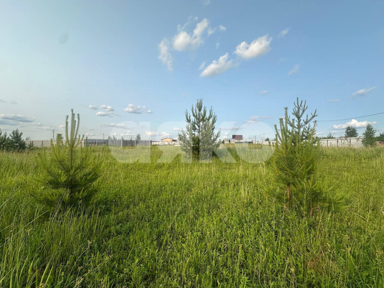 Фото №13: Земельный участок под ИЖС 11.6 сот. - Петровское