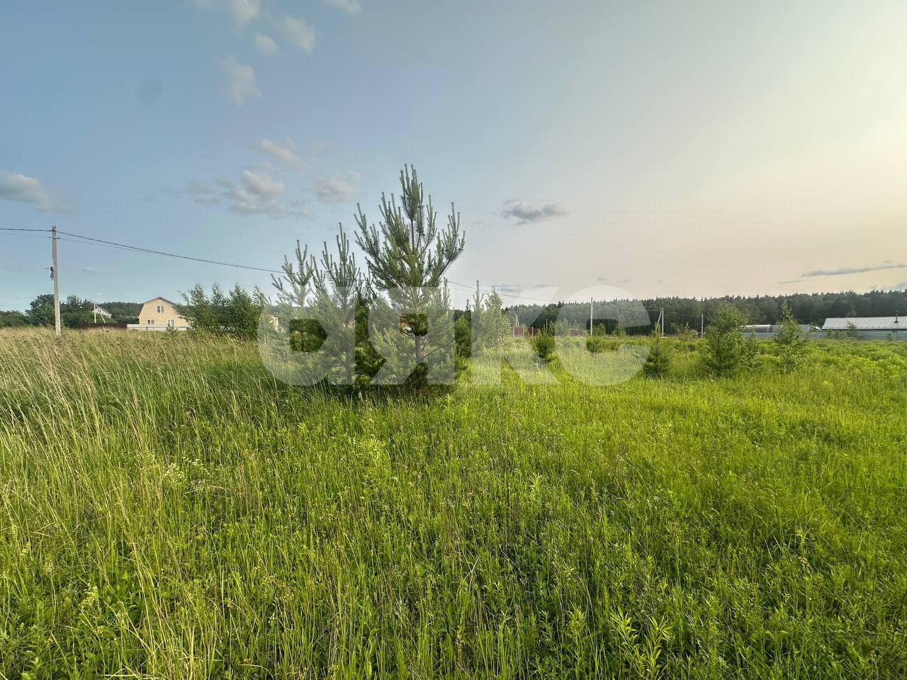 Фото №9: Земельный участок под ИЖС 11.6 сот. - Петровское