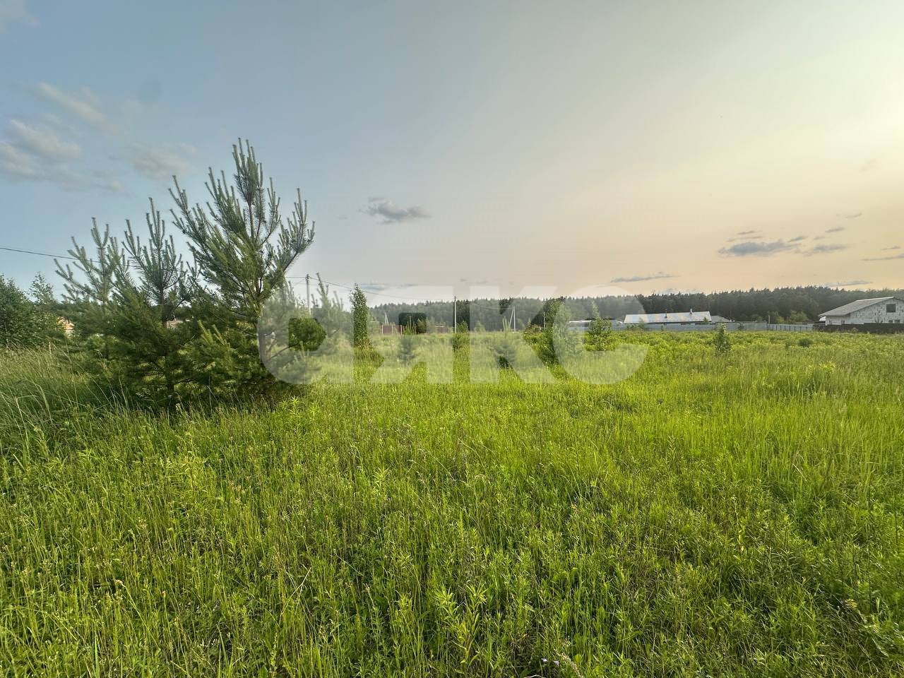 Фото №11: Земельный участок под ИЖС 11.6 сот. - Петровское