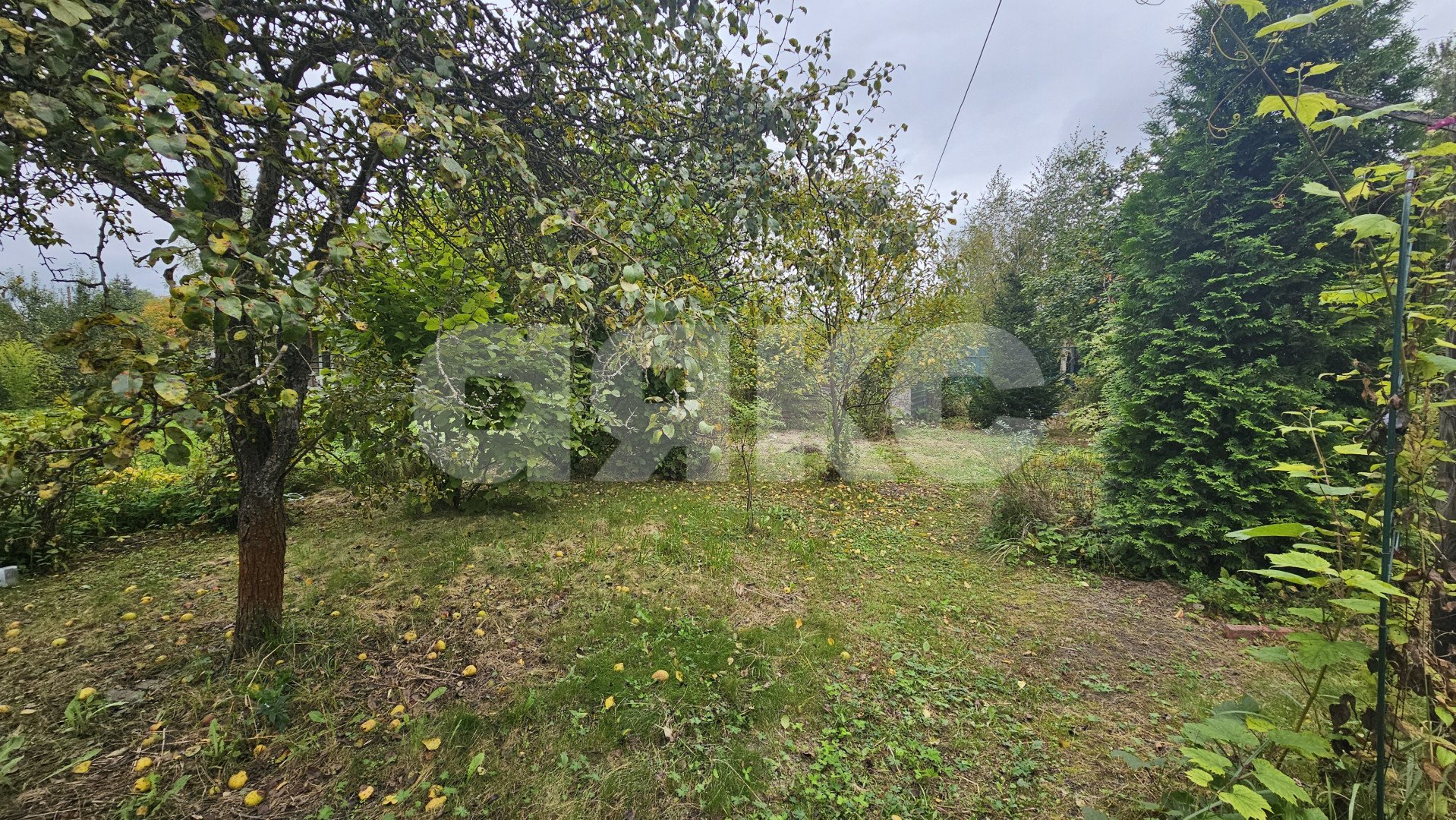 Фото №25: Дача 30 м² + 8 сот. - СНТ Химик-4, ул. Набережная