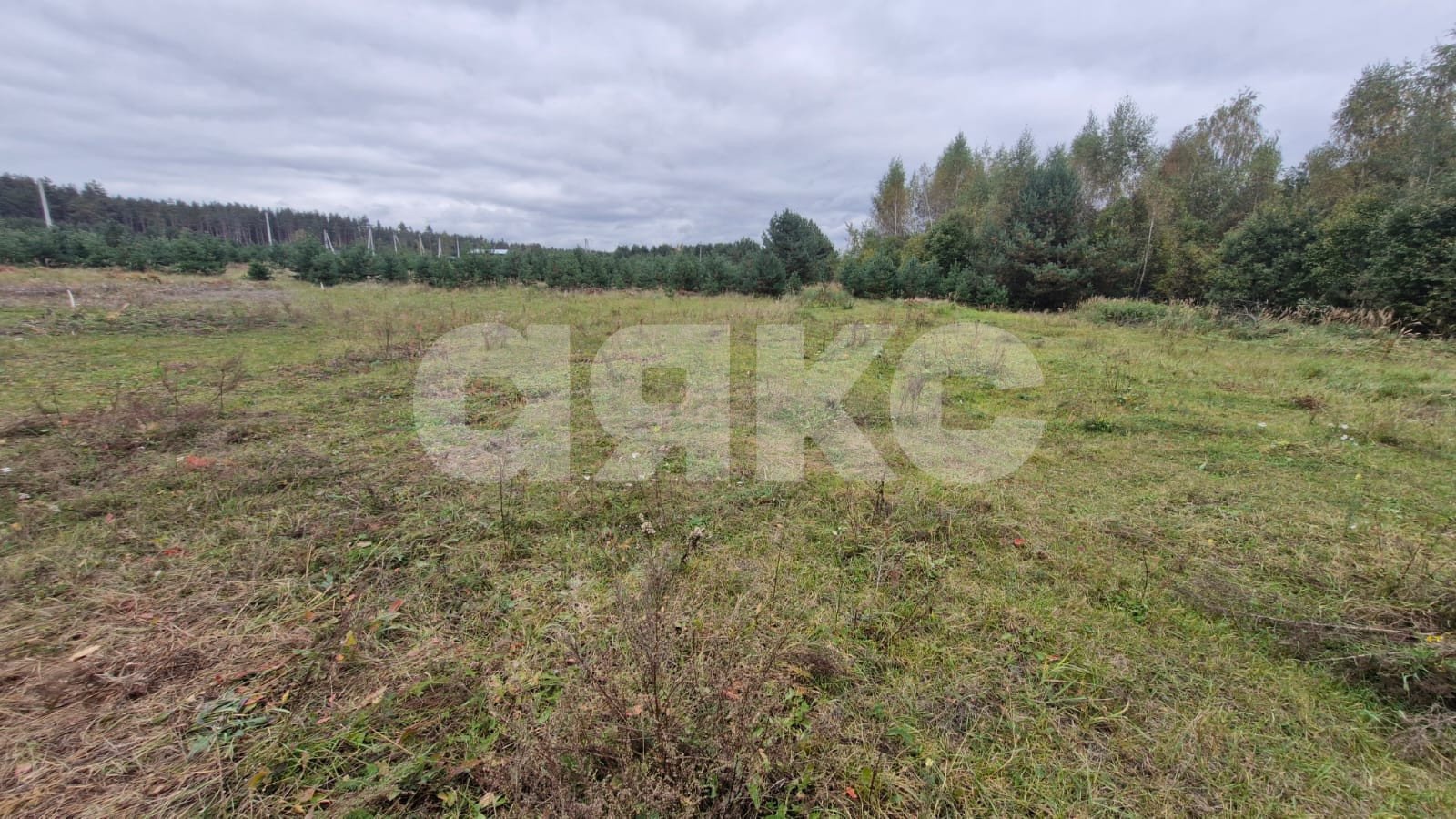 Фото №6: Земельный участок под ИЖС 11 сот. - Ёлкино