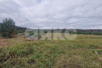 Фото №1: Земельный участок под ИЖС - Ёлкино, 