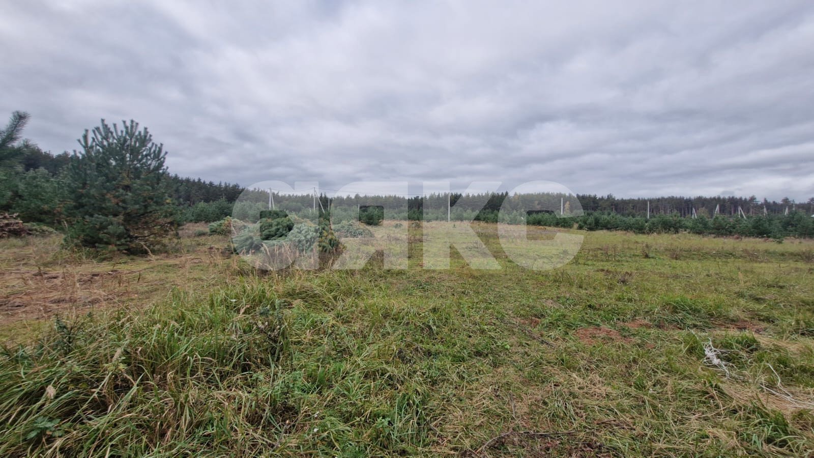 Фото №1: Земельный участок под ИЖС 11 сот. - Ёлкино