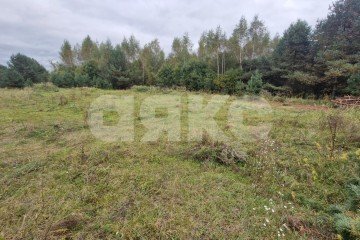 Фото №5: Земельный участок под ИЖС - Ёлкино, 