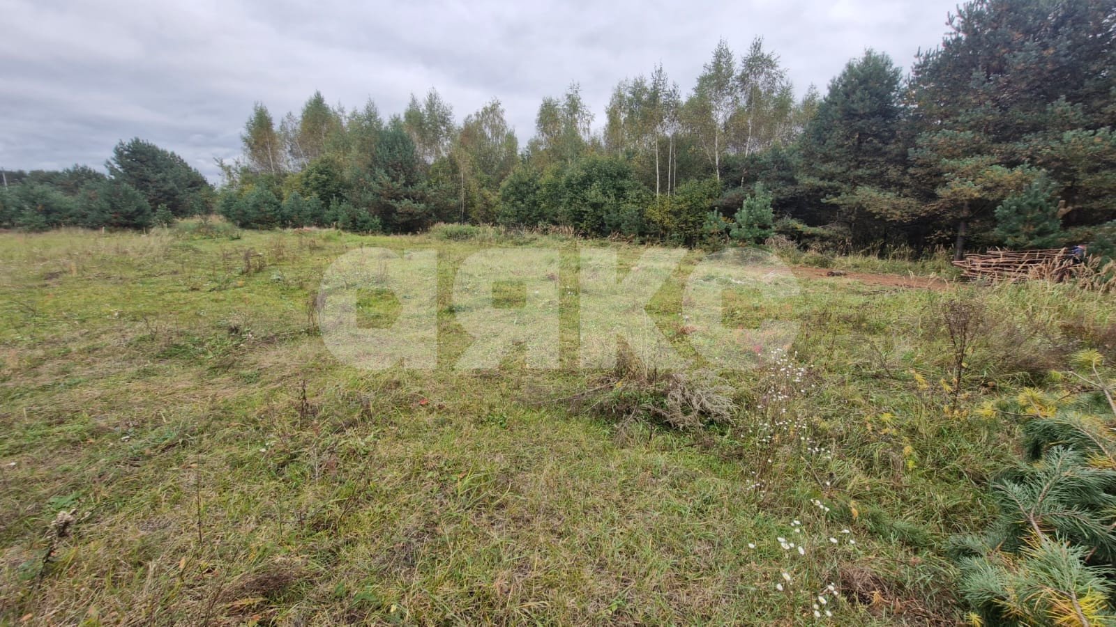 Фото №5: Земельный участок под ИЖС 11 сот. - Ёлкино