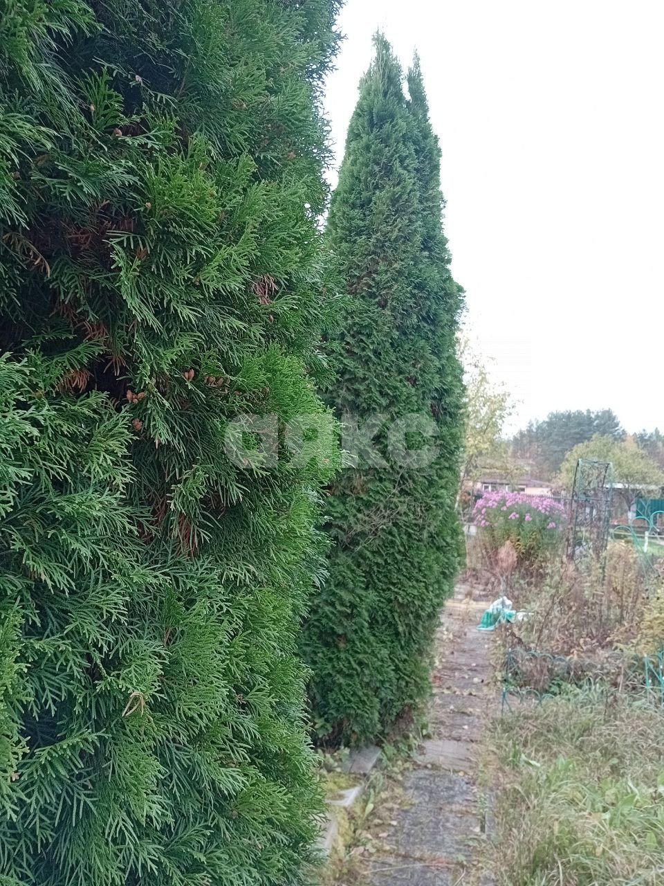 Фото №23: Дом 70 м² + 6 сот. - СНТ Потаповское, 34