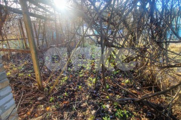 Фото №5: Дом 40 м² - СНТ Спецстроевец, 86