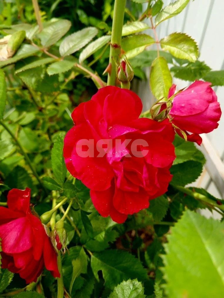 Фото №23: Часть дома 45 м² + 3.5 сот. - Воскресенск, мкр. Центральный, ул. Химиков, 7