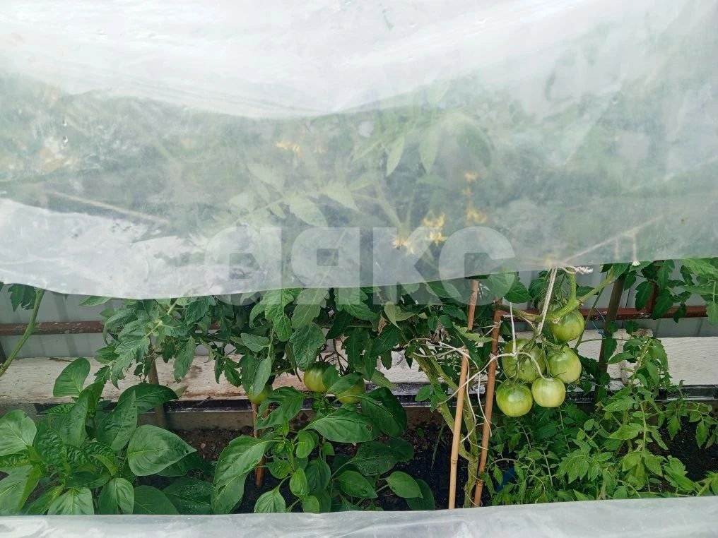 Фото №24: Часть дома 45 м² + 3.5 сот. - Воскресенск, мкр. Центральный, ул. Химиков, 7