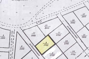 Фото №3: Личное подсобное хозяйство - Карпово, ул. Каштановая