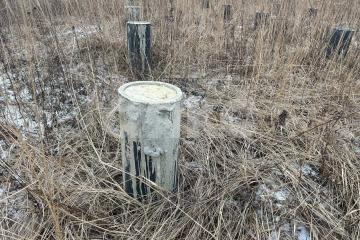 Фото №5: Участок садоводство - Городище, мкр. территория Городище-1, 