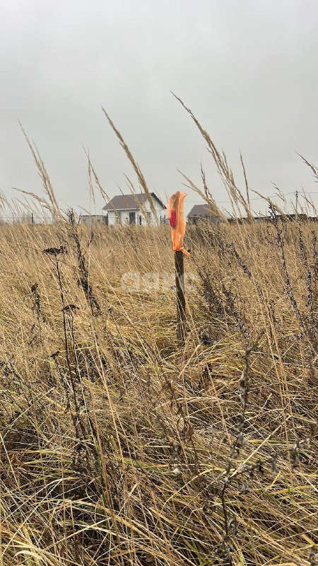 Фото №11: Участок садоводство 7.7 сот. - КП Городище, мкр. территория Городище-1